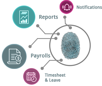 HR & Payroll Management